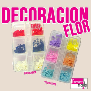 Flores Básicas