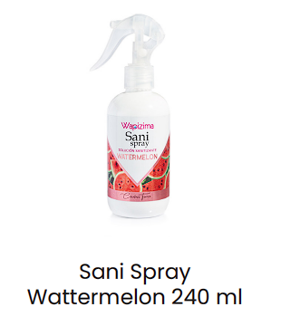 Sani Spray Watermelon 240 ml