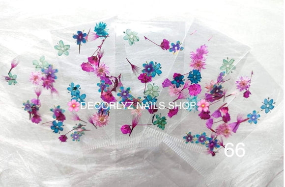 N. Naturaleza Mix 66