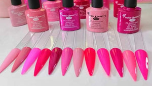 Gel UV Gama B 12 pz (10 ml)