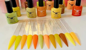 Gel UV Gama M 12 pz (10 ml)