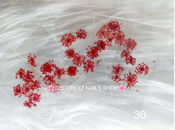 N. Naturaleza Encaje Roja