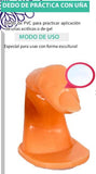 Exhibidores