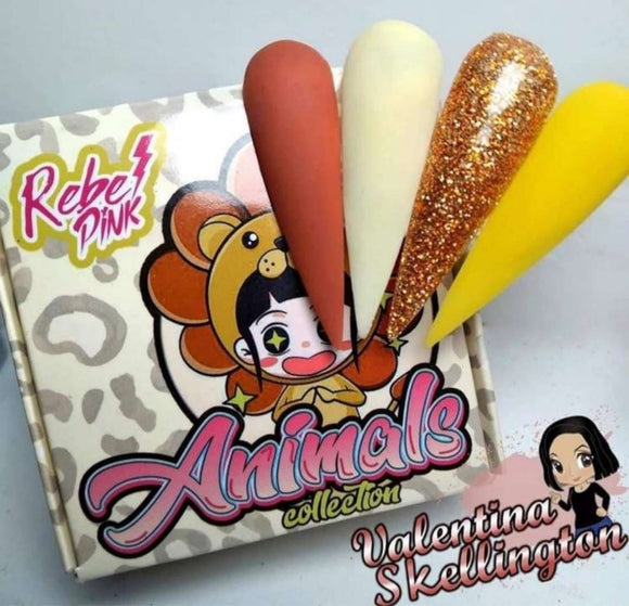 Colecciones 4 piezas Rebel Pink